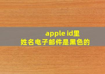 apple id里姓名电子邮件是黑色的